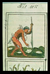 Ein Azteke pflanzt Mais, aus dem 